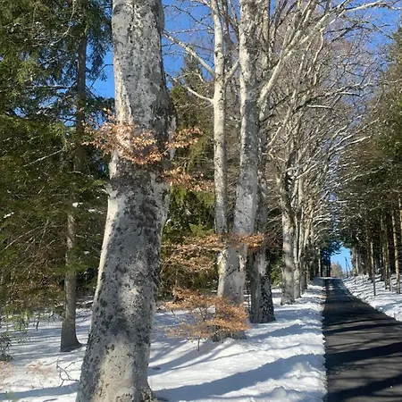 Le Chantoiseau Avec Terrasse Et Parking